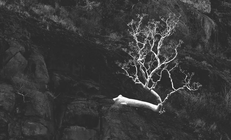 EARTH photo 12