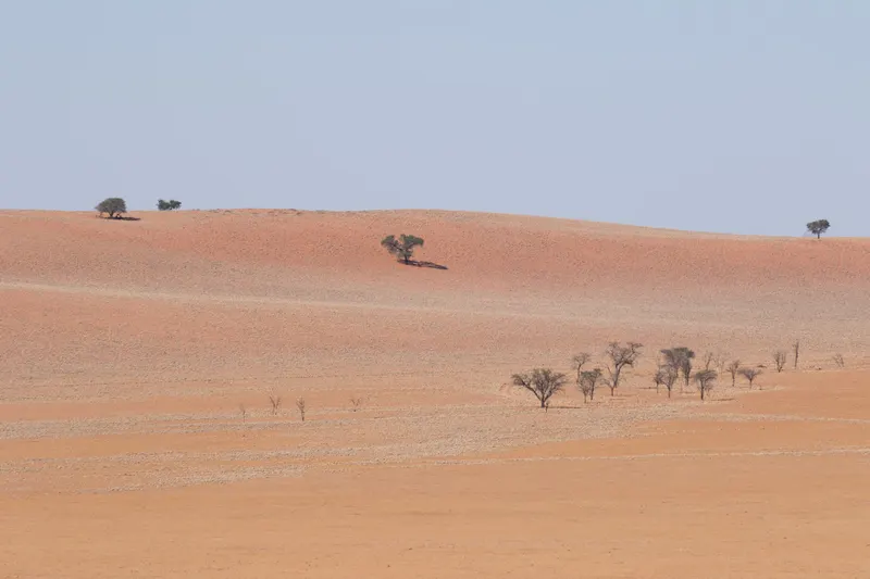 EARTH photo 5