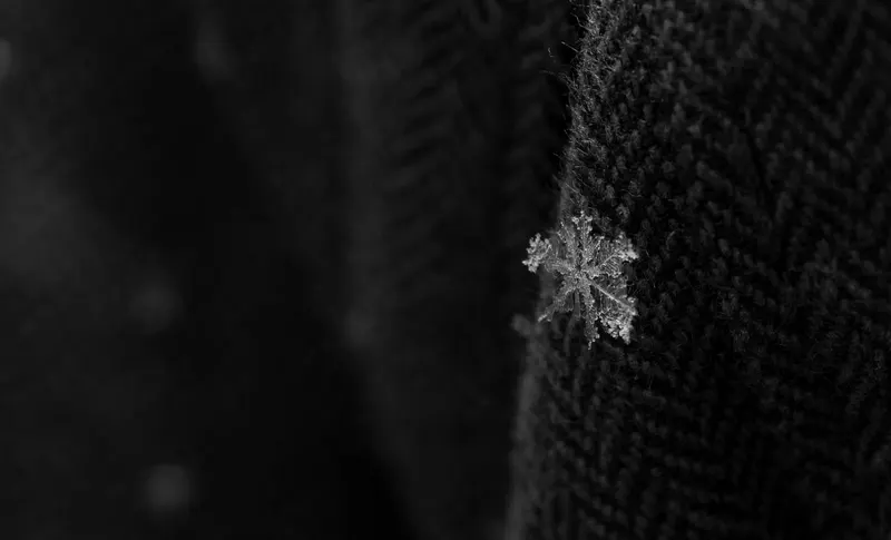 Macro album cover