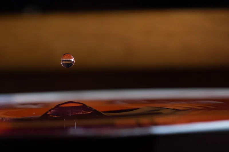 Macro photo 5