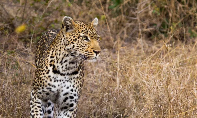 Wildlife & Nature photo 10
