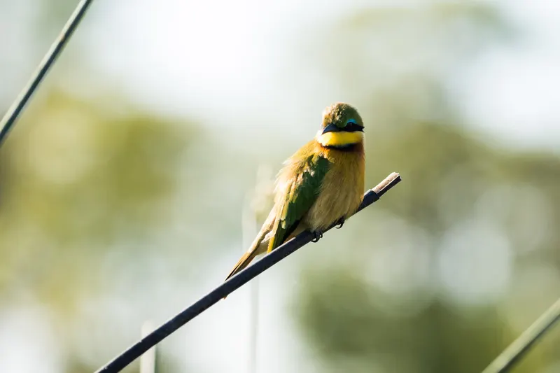 Wildlife & Nature photo 5