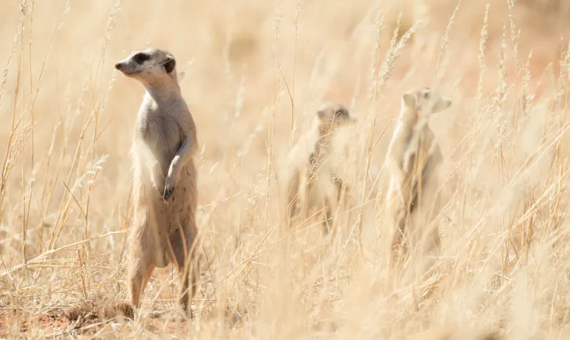 Wildlife & Nature photo 9